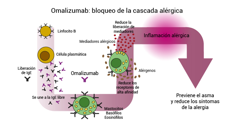 infografía