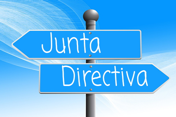 junta directiva AEPNAA