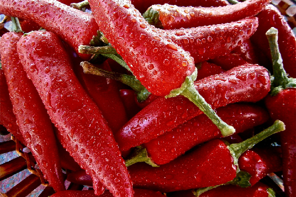 Pimientos rojos