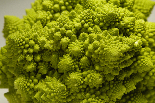 Brócoli romanesco