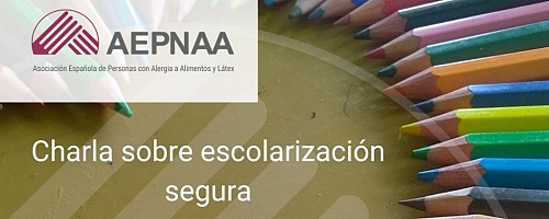 Charla Virtual sobre escolarización segura