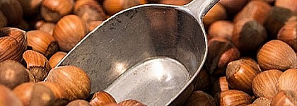 Presencia de avellana en chocolate para untar procedente de Países Bajos