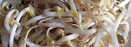 Presencia de soja no declarada en salsas procedentes de Filipinas